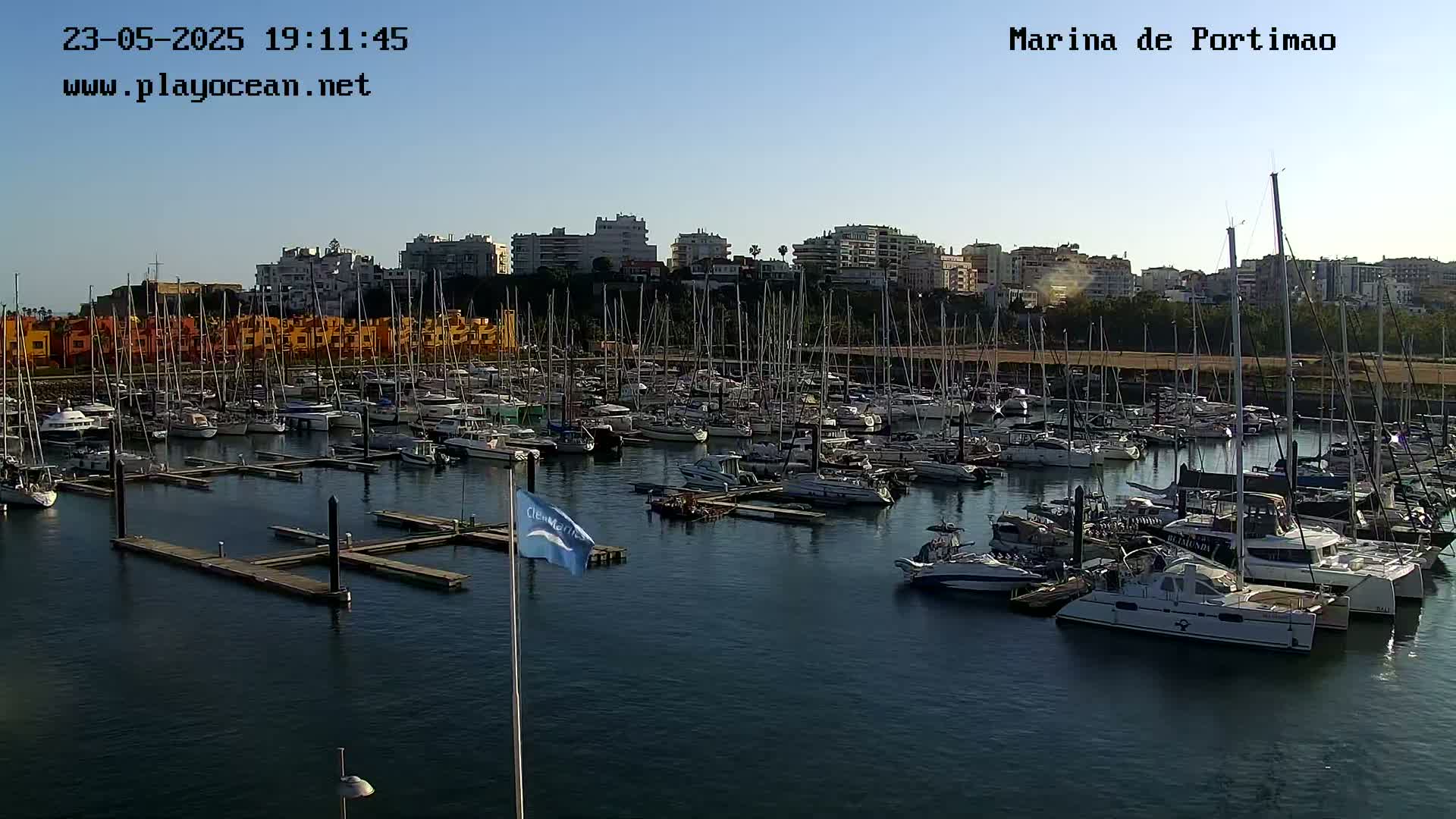 A marina filled with numerous sailboats and yachts is situated in front of a shoreline with buildings under a clear sky.