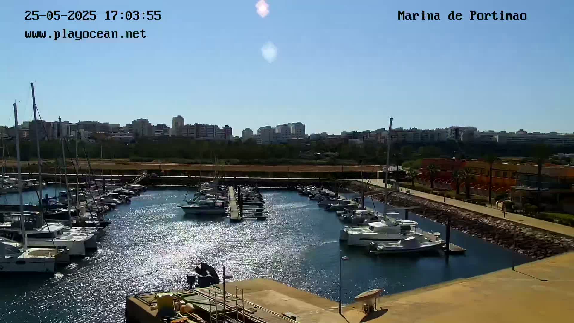 A marina filled with numerous boats is seen on a sunny day, with a city skyline visible in the background.