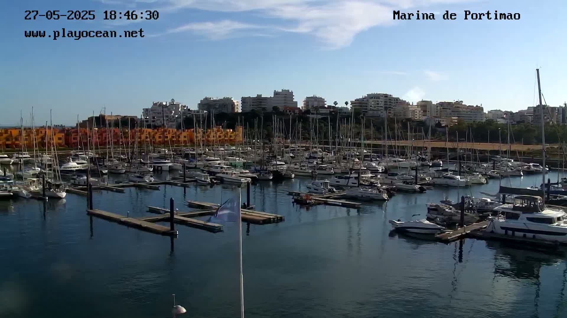 A marina filled with numerous sailboats and motorboats is situated near a waterfront city under a mostly clear sky.