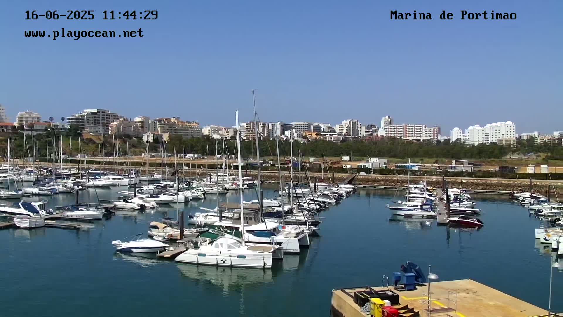A marina filled with numerous sailboats and motorboats is situated in front of a city skyline under a clear, sunny sky.