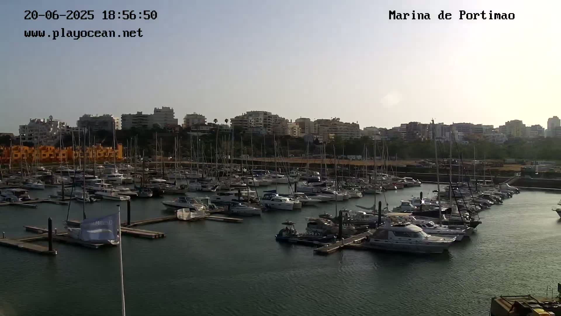 A marina filled with numerous boats and yachts is situated in front of a city skyline under a clear, bright sky.