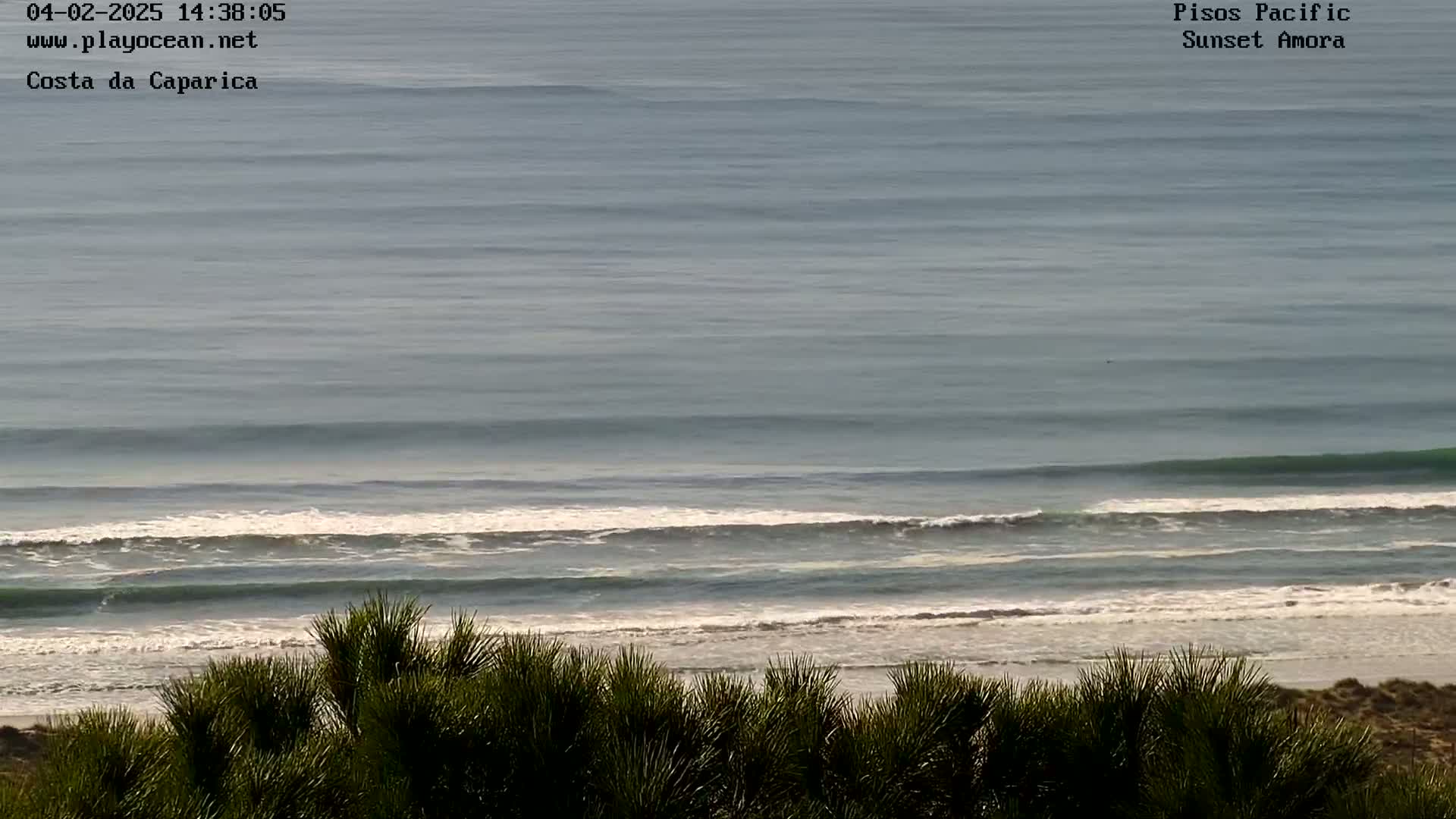 A long shot of ocean waves breaking on a sandy beach, viewed from behind a line of shrubs on a partly cloudy day.