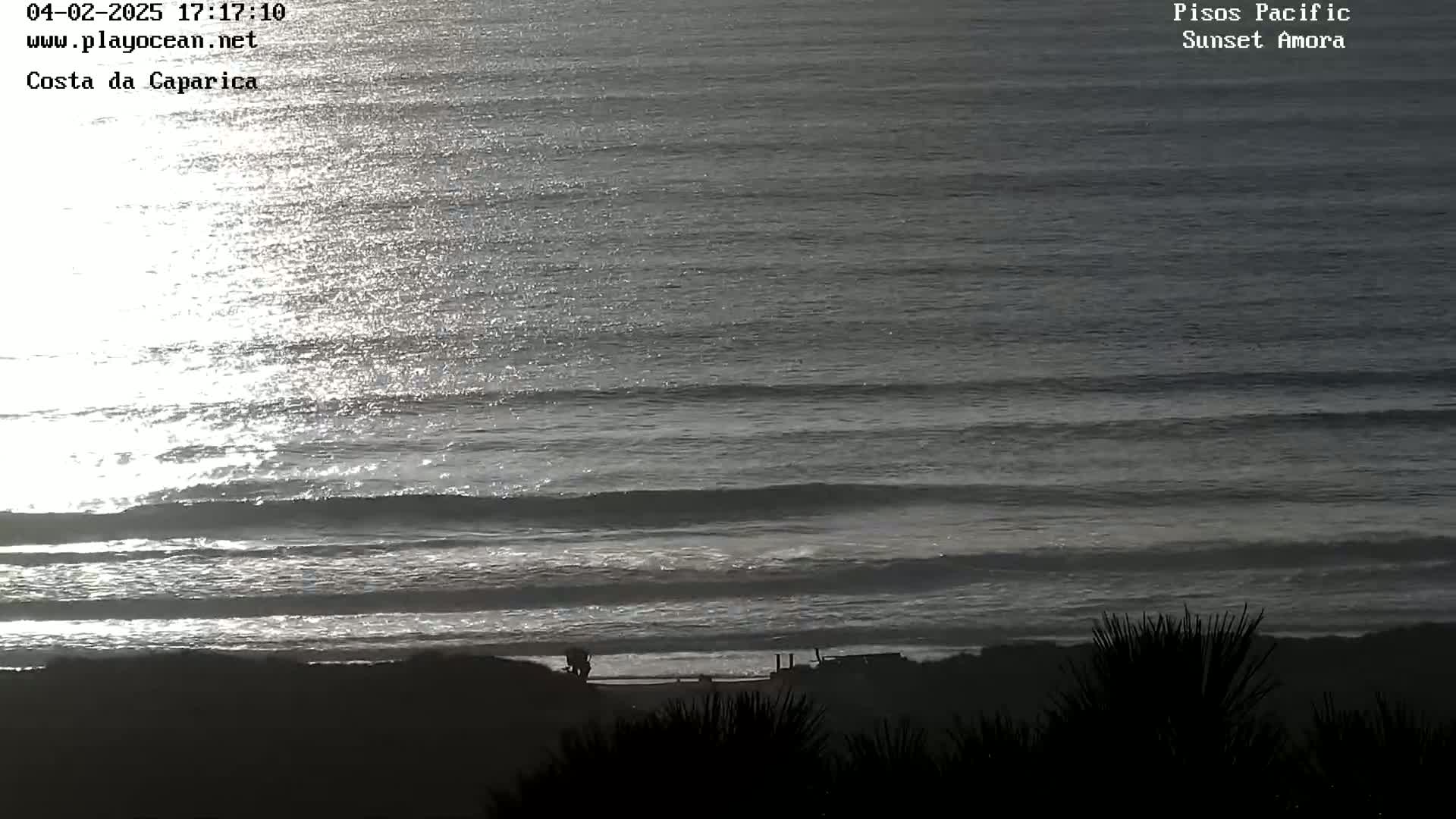 A calm ocean with small waves reflects the sunlight, viewed from a slightly elevated vantage point showing a beach and dark vegetation in the foreground.