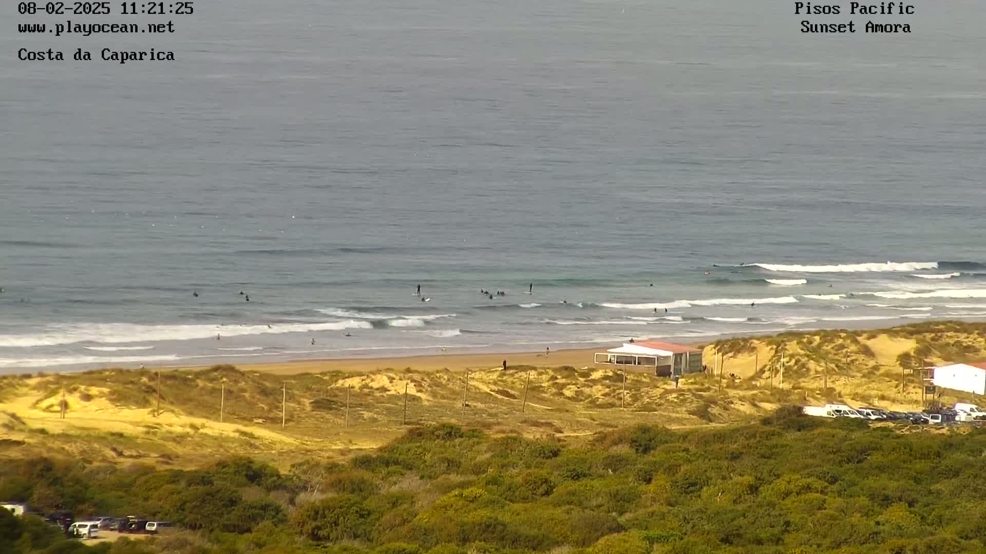 A beach with surfers in the ocean under an overcast sky, viewed from a high vantage point above sand dunes and vegetation.