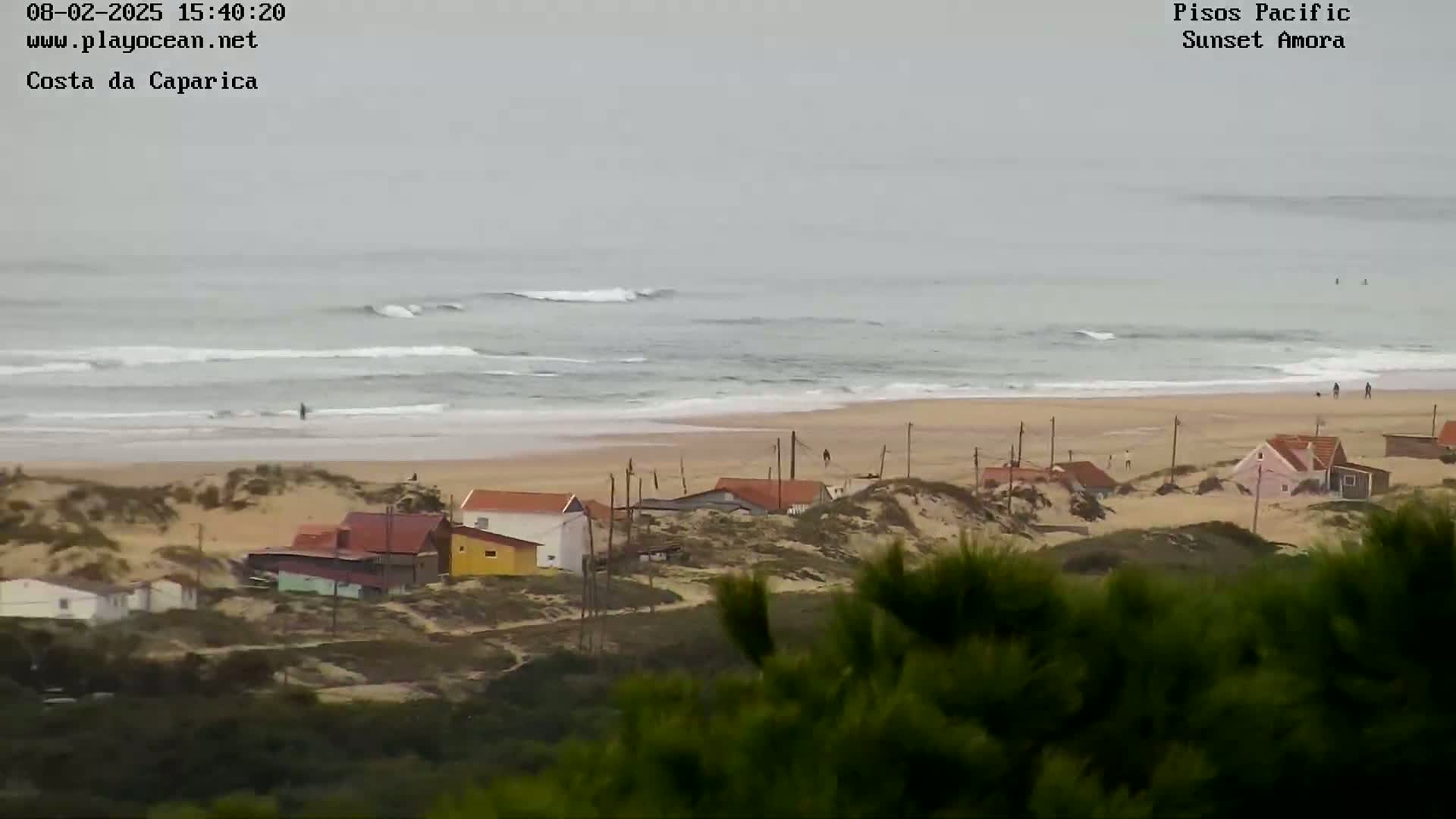 A coastal scene shows a beach with gentle waves under an overcast sky, and a line of houses nestled behind sandy dunes.