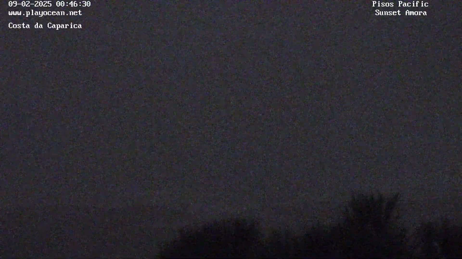 A dark, nighttime scene shows silhouettes of trees against a mostly clear, dark sky.