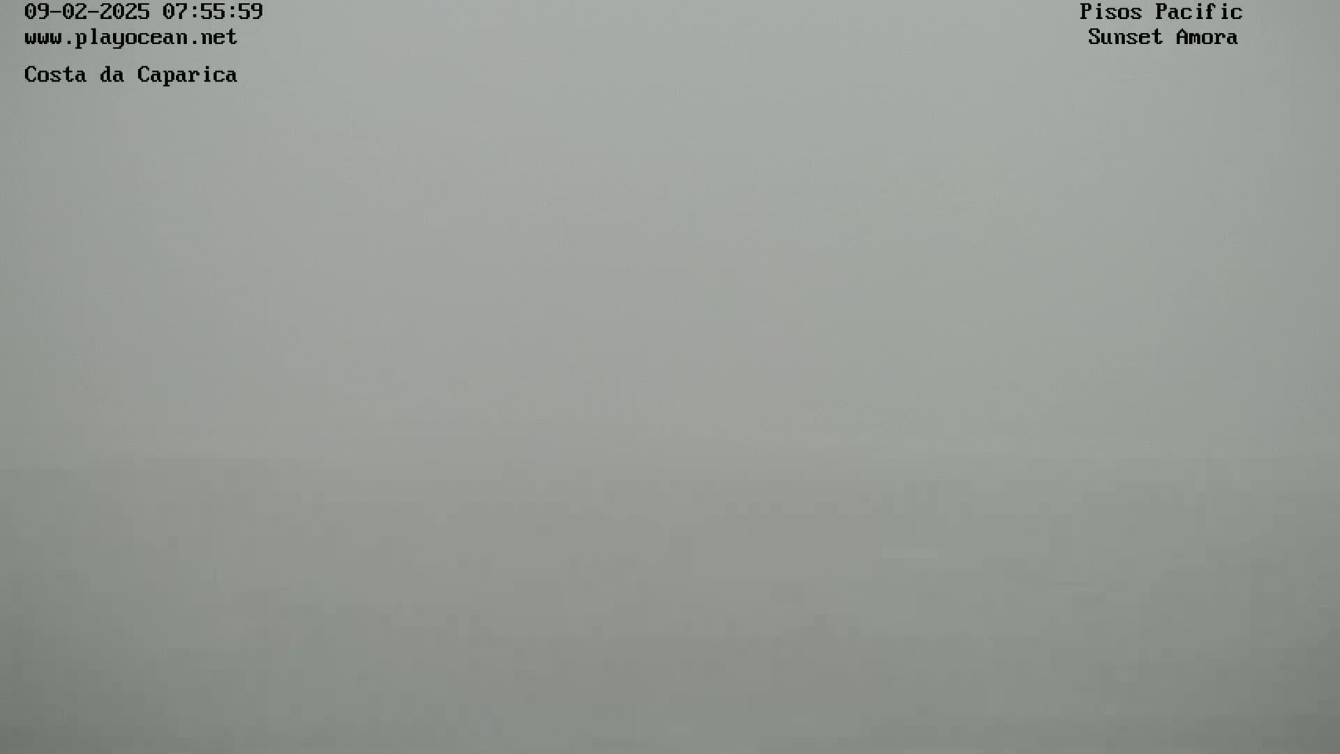 A uniformly light gray image shows a dense fog obscuring any view.