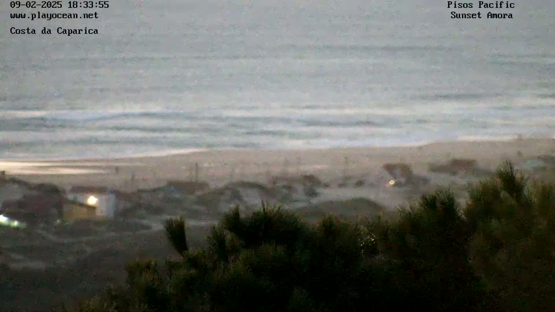 A long, sandy beach with small waves under an overcast sky is viewed from a distance, partially obscured by dark, windblown vegetation in the foreground.