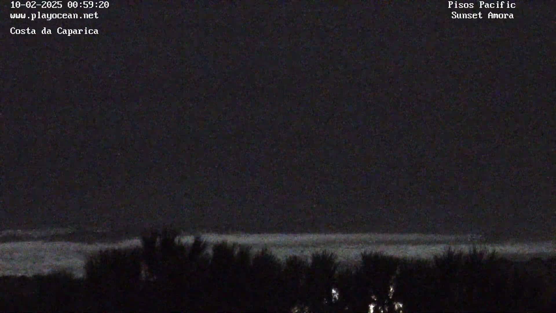 A dark nighttime scene shows a calm ocean meeting a silhouetted shoreline of vegetation under a mostly clear sky.