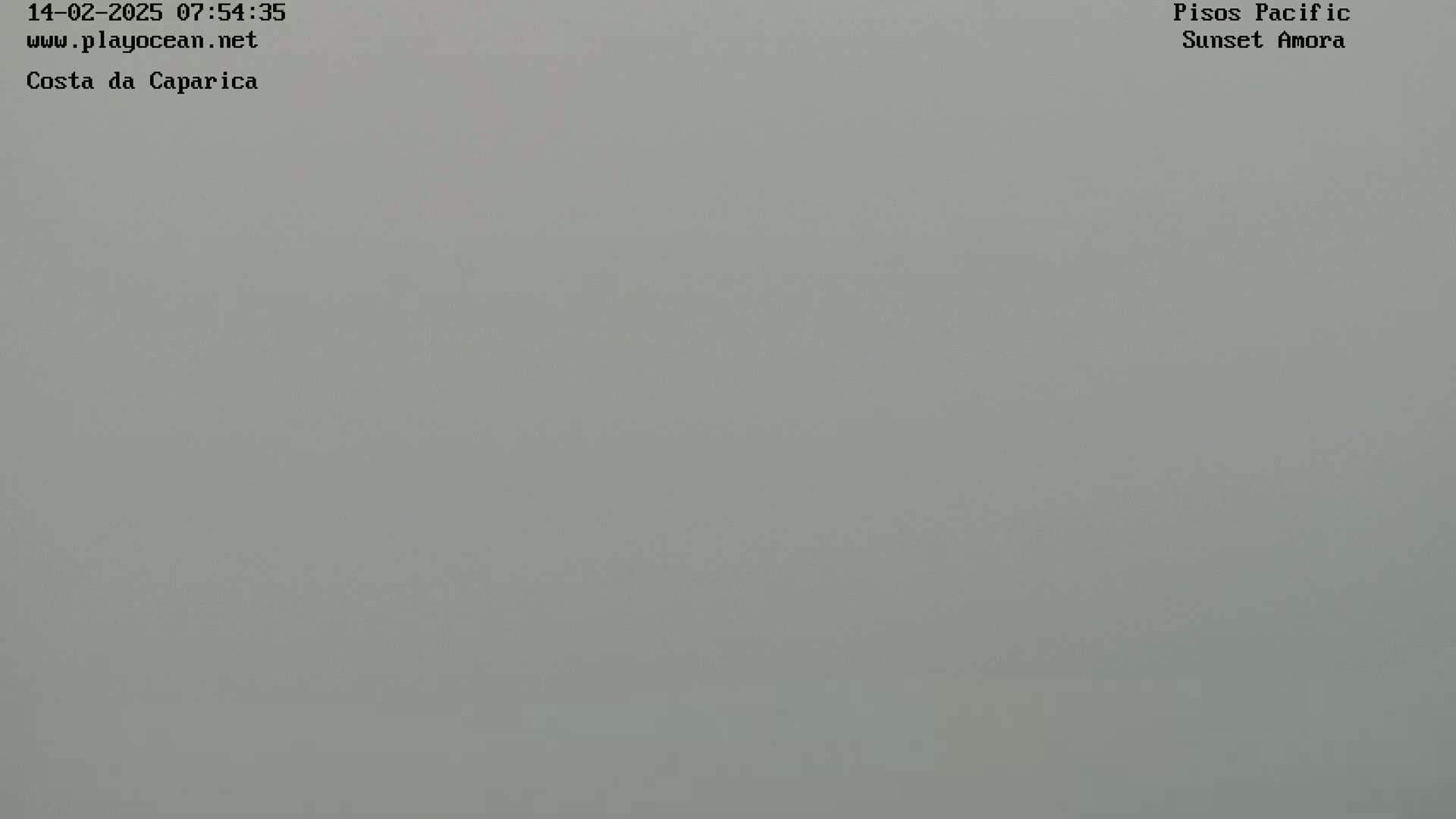 A uniformly light gray overcast sky is visible.