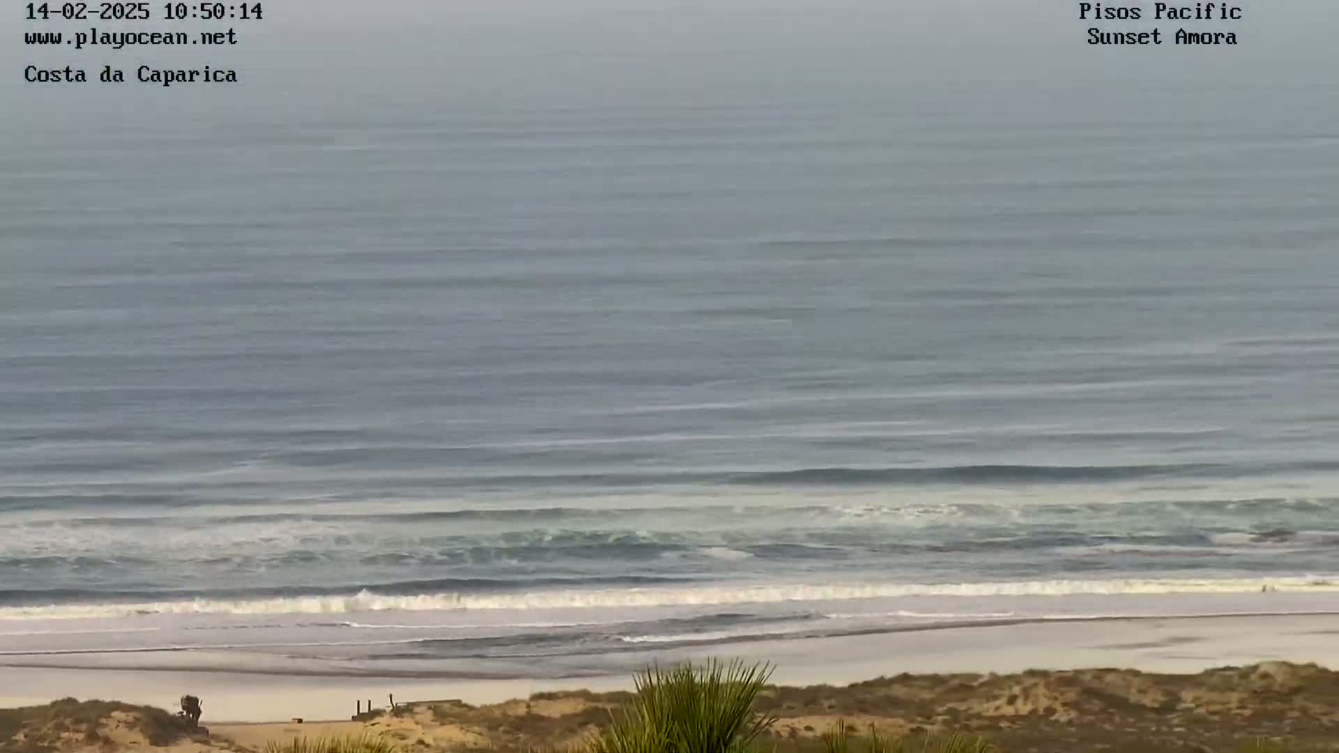 A long, sandy beach with gently rolling waves under an overcast sky.