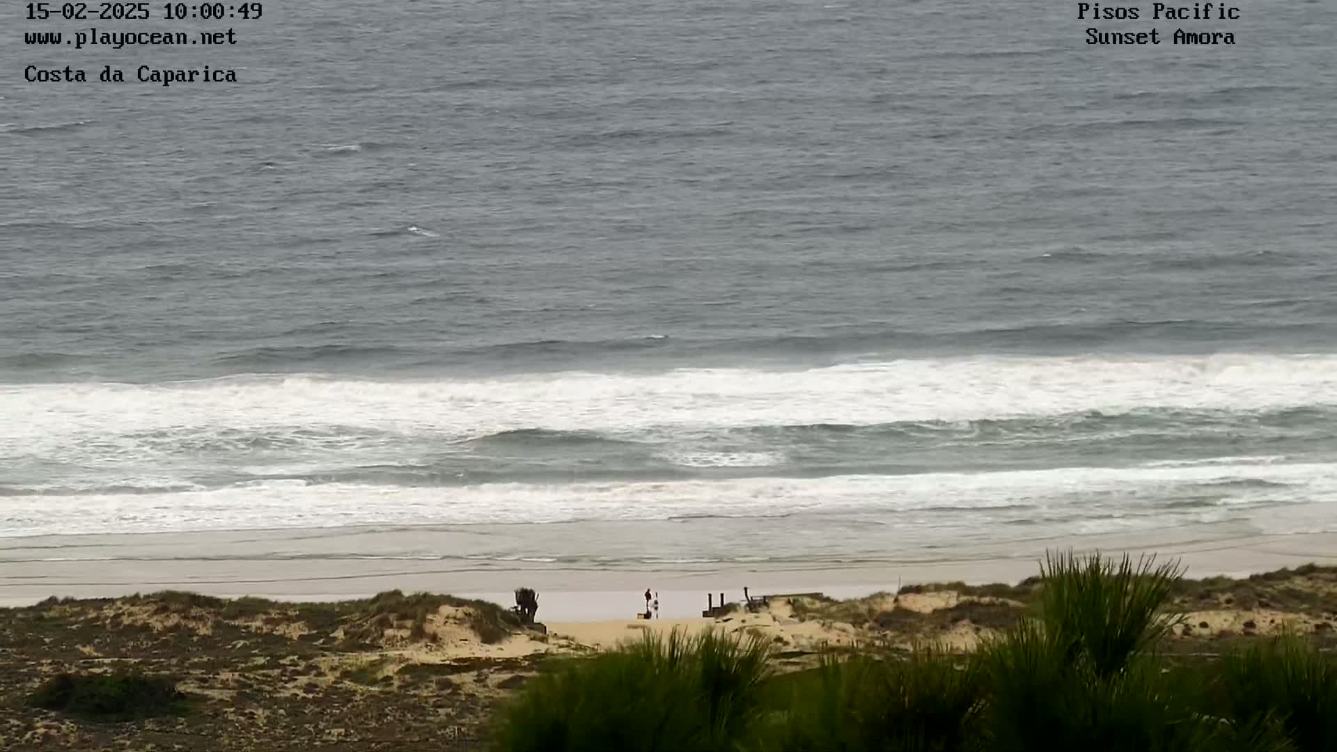 An elevated view shows a beach with moderate waves rolling onto the shore, a few people are visible on the sand, and low-lying vegetation is in the foreground.