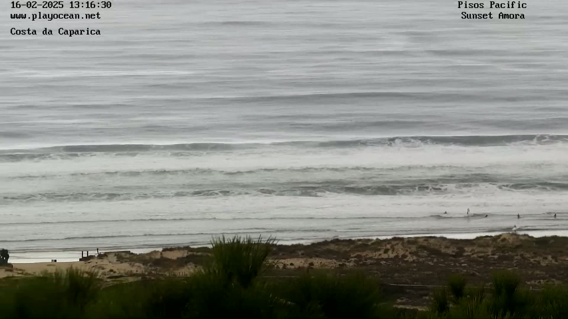 An overcast day shows a beach with several surfers in the water, waves rolling in toward the shore, and vegetation in the foreground.