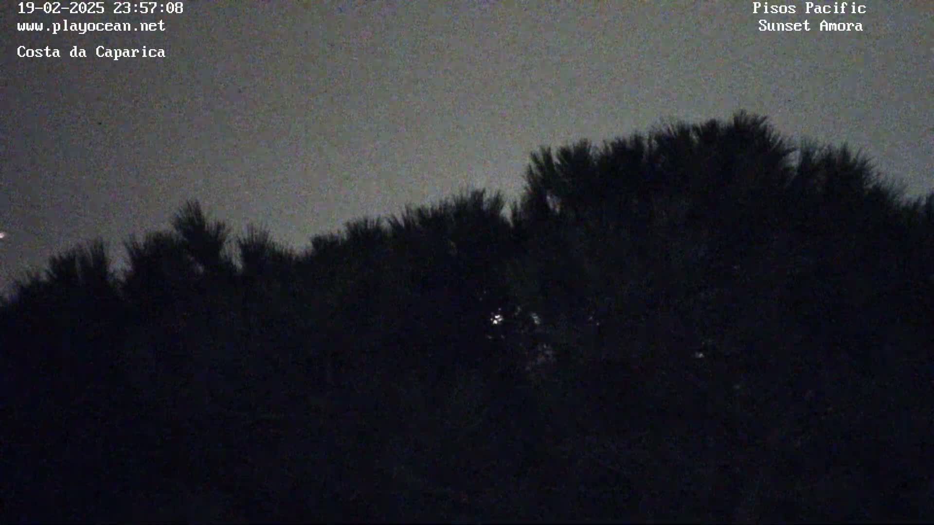 A dark silhouette of trees is visible against a twilight sky.