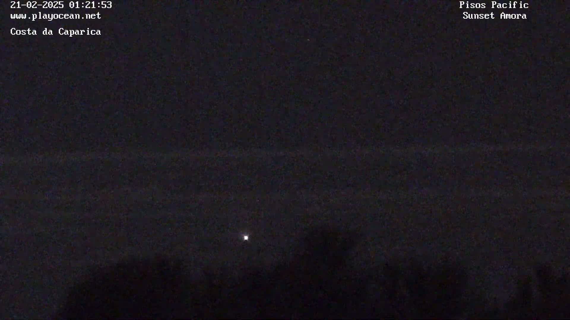 A dark, nighttime scene shows a distant, faint light over a dark horizon line, silhouetted by dark vegetation in the foreground.