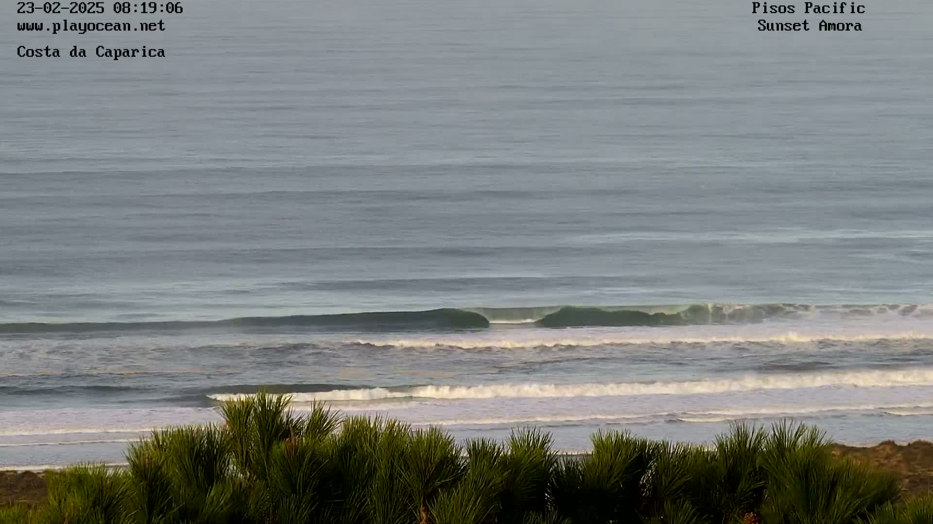Ocean waves roll onto a beach partially obscured by dark green shrubbery under a mostly overcast sky.