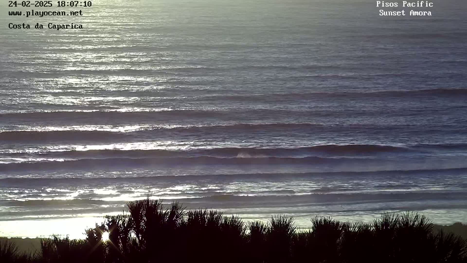 The sun glistens on the surface of a calm ocean with gently rolling waves, viewed from behind dark shrubs on a beach at sunset.
