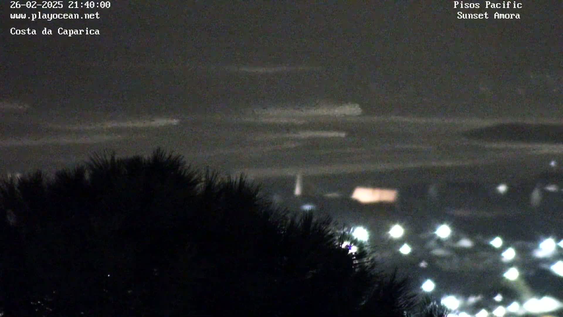 A nighttime, overcast view shows dark silhouettes of trees in the foreground, with blurred lights of a town visible in the distance across a dark body of water.