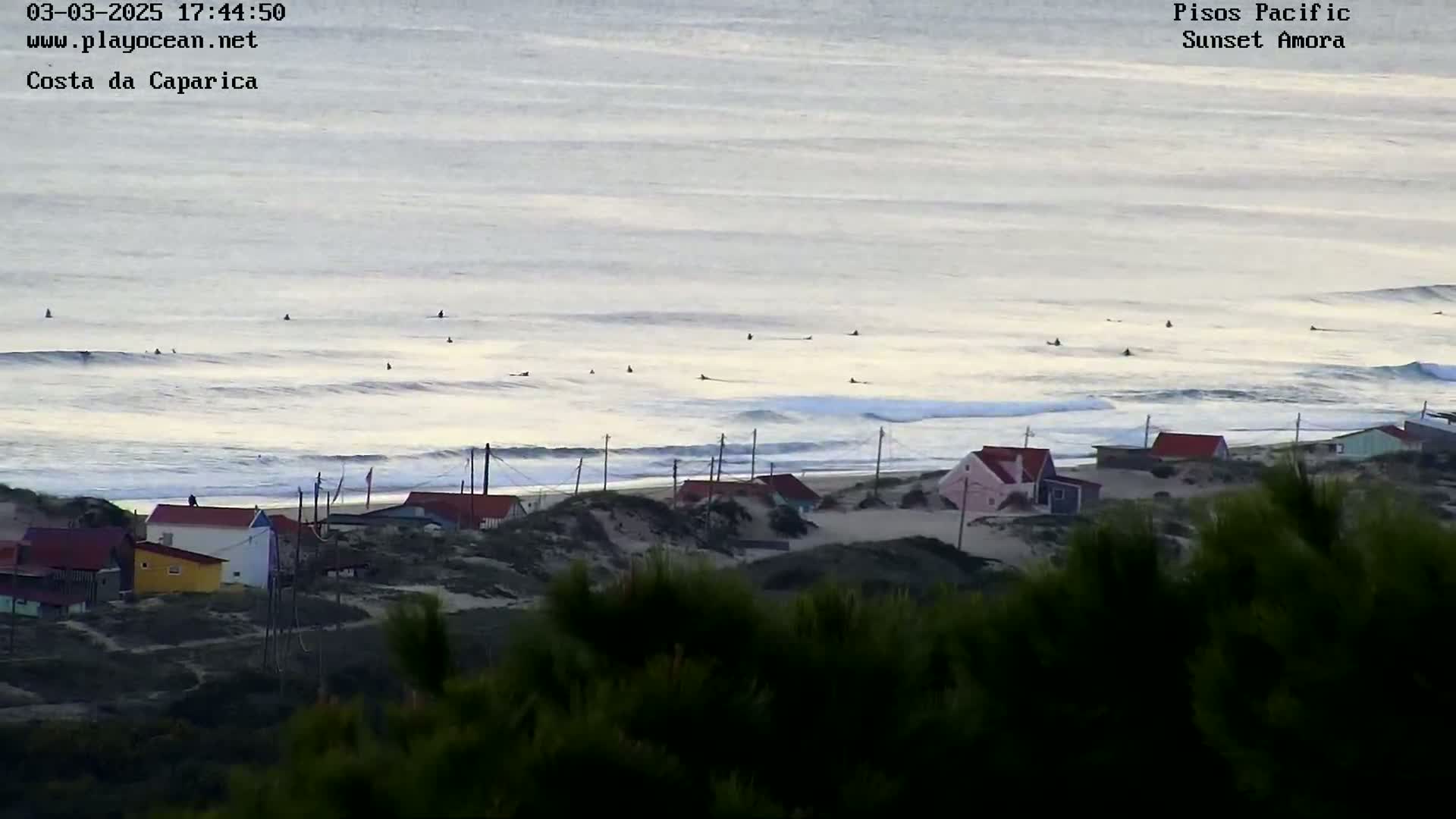 Several surfers are in the ocean near a sandy beach with small houses under a calm, overcast sky.