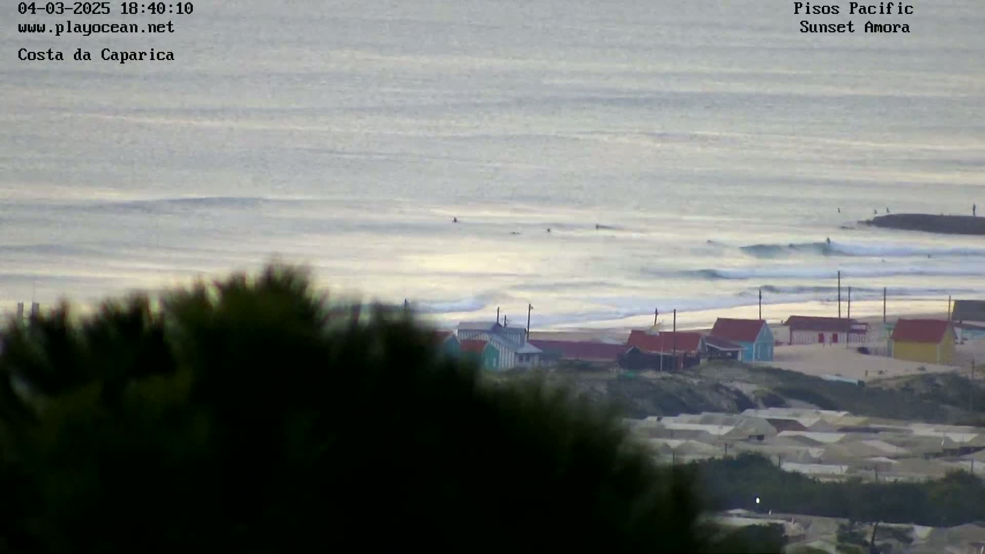 A long shot of an ocean coastline at sunset shows several surfers in the water, a sandy beach with colorful buildings, and a foreground of dark green shrubbery.