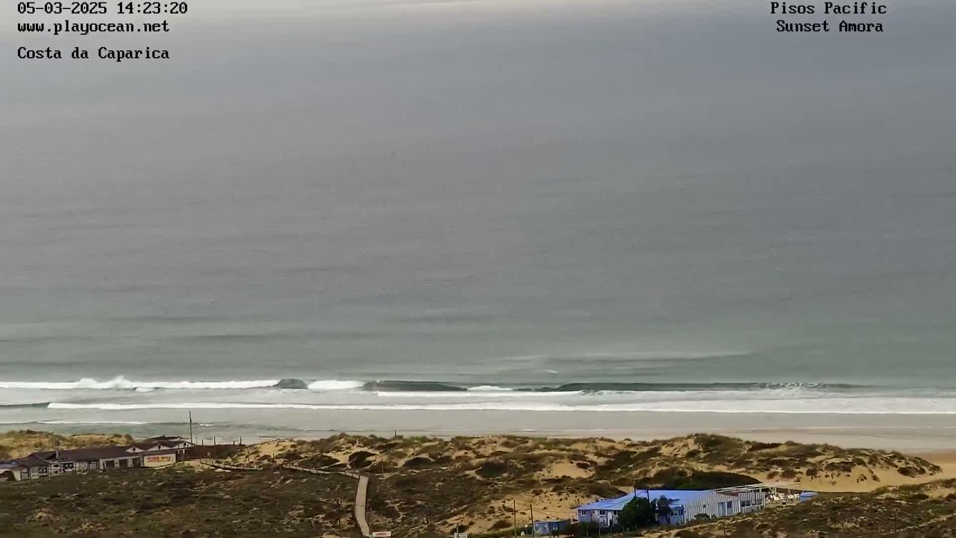A long, sandy beach with small waves under an overcast sky is viewed from a high vantage point showing some dune vegetation and a few buildings.