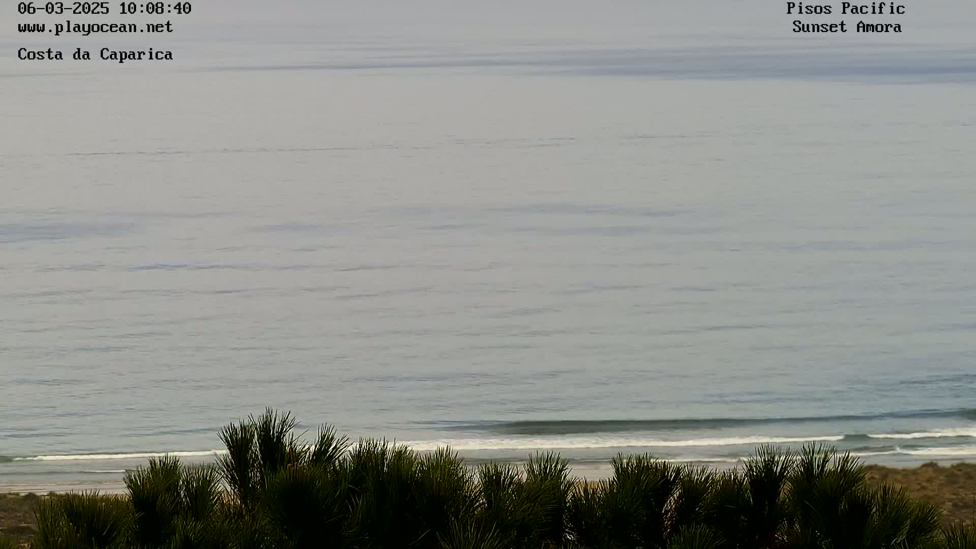 A calm ocean with small waves laps a sandy beach, partially obscured by dark green shrubbery in the foreground under an overcast sky.