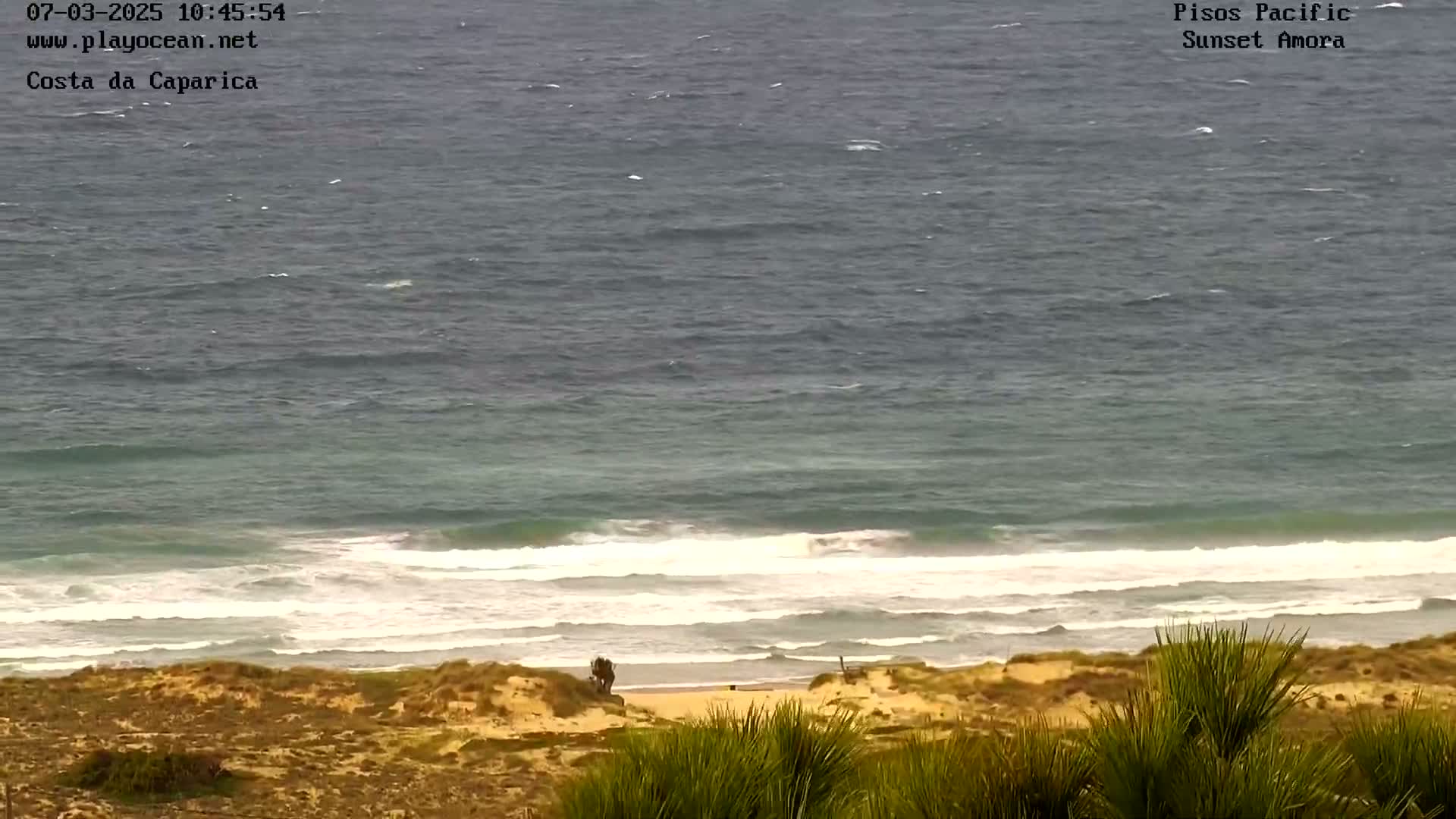 A view from a dune shows a beach with small waves rolling onto the shore on a somewhat overcast day.