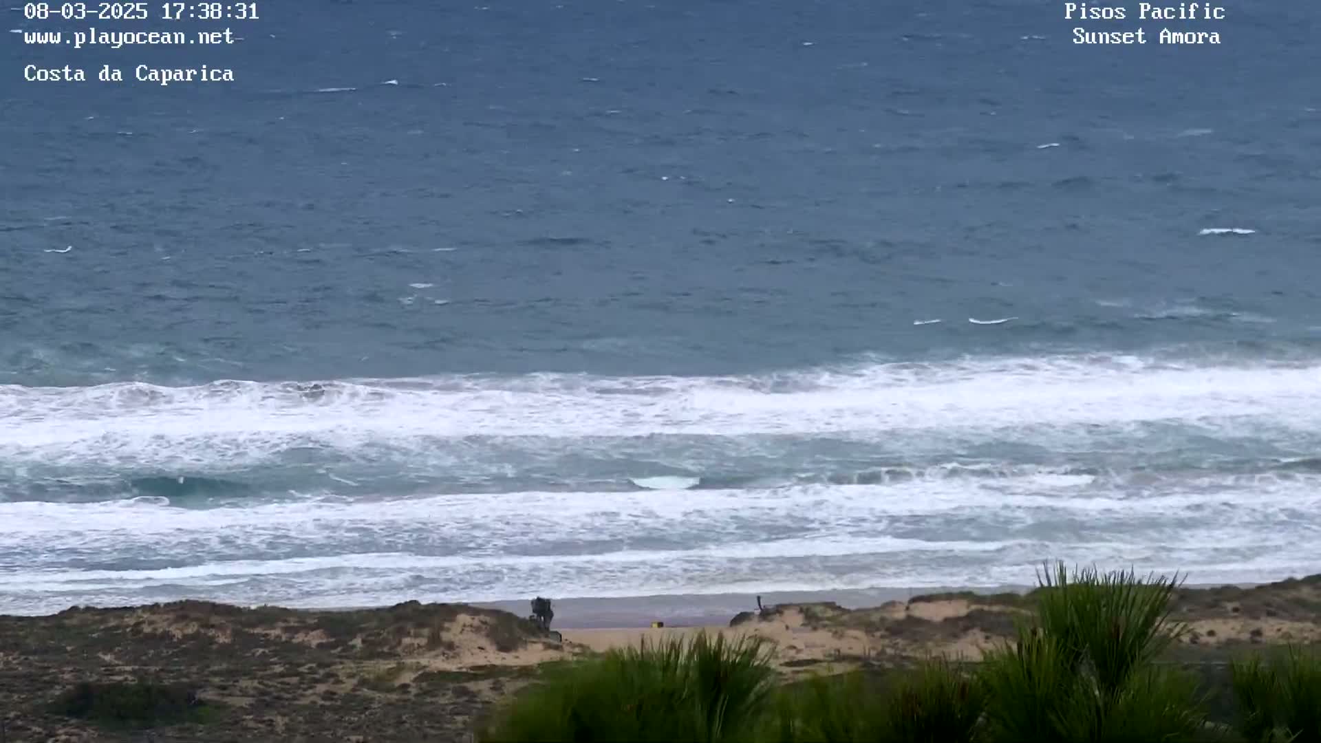 A windy day at a beach shows choppy waves crashing on the shore, with a sandy coastline and sparse vegetation visible in the foreground.