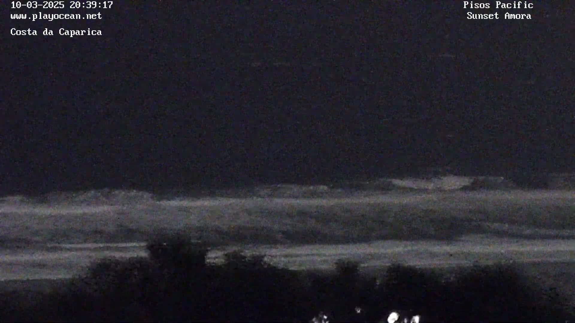 A nighttime view of a dark ocean with slightly visible waves, and a dark shoreline with vegetation in the foreground under a dark sky.