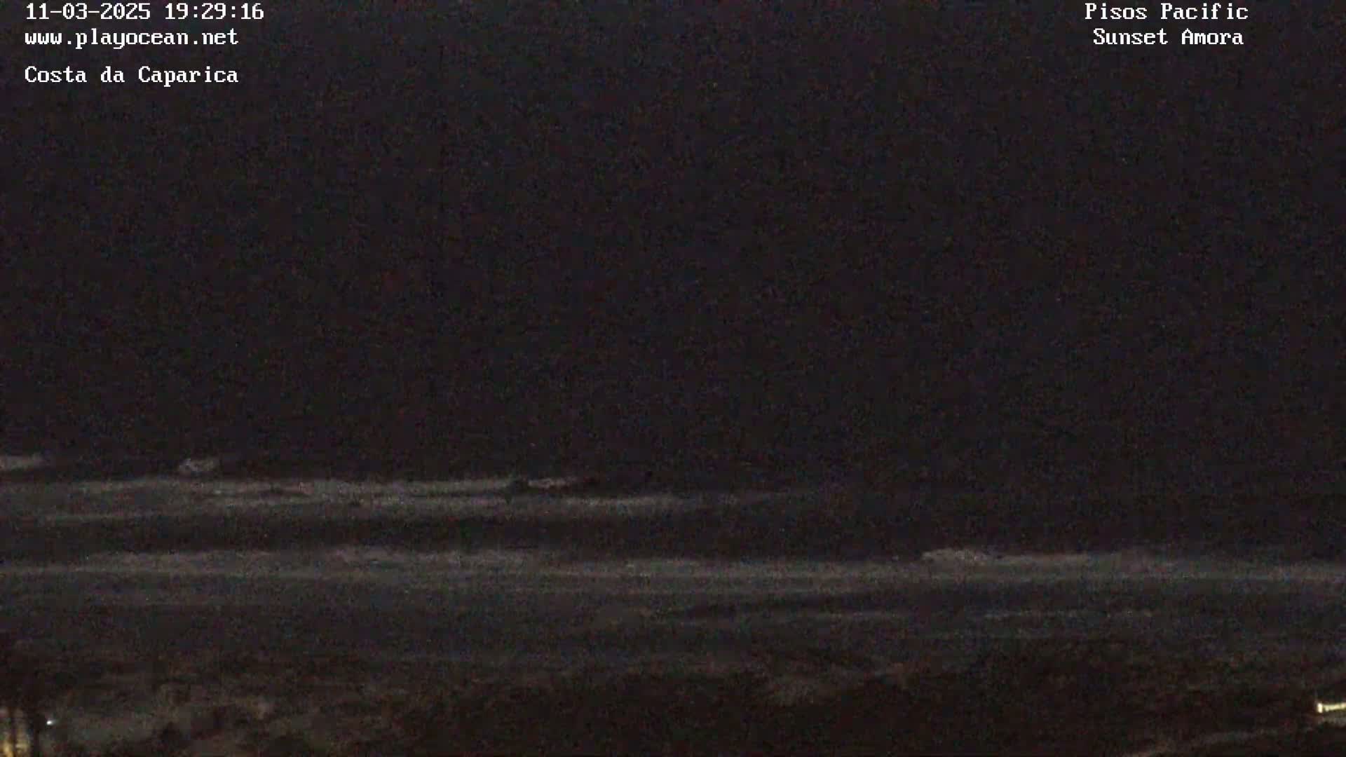 A dark nighttime view of the ocean shows waves gently breaking on the shore under a clear, black sky.