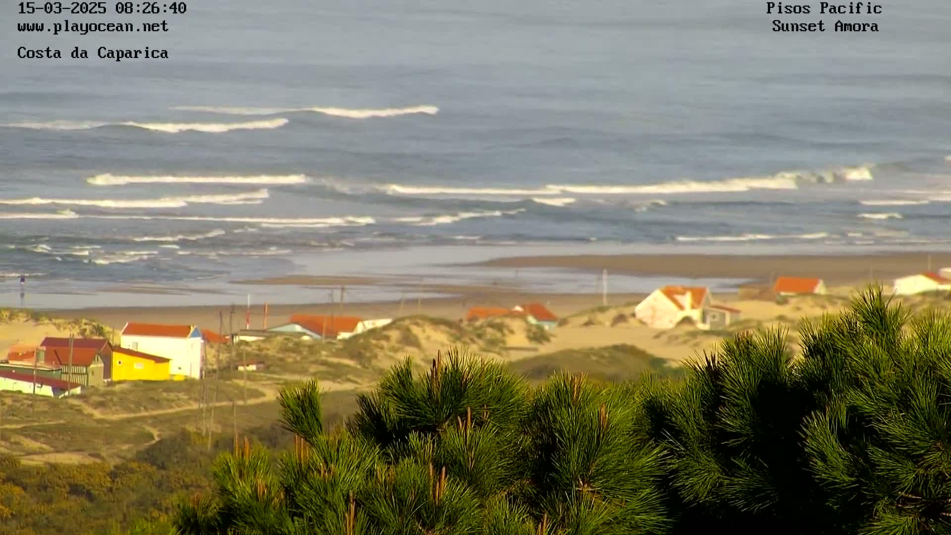 A view from behind evergreen bushes shows a sandy beach with small houses and an ocean with waves under an overcast sky.