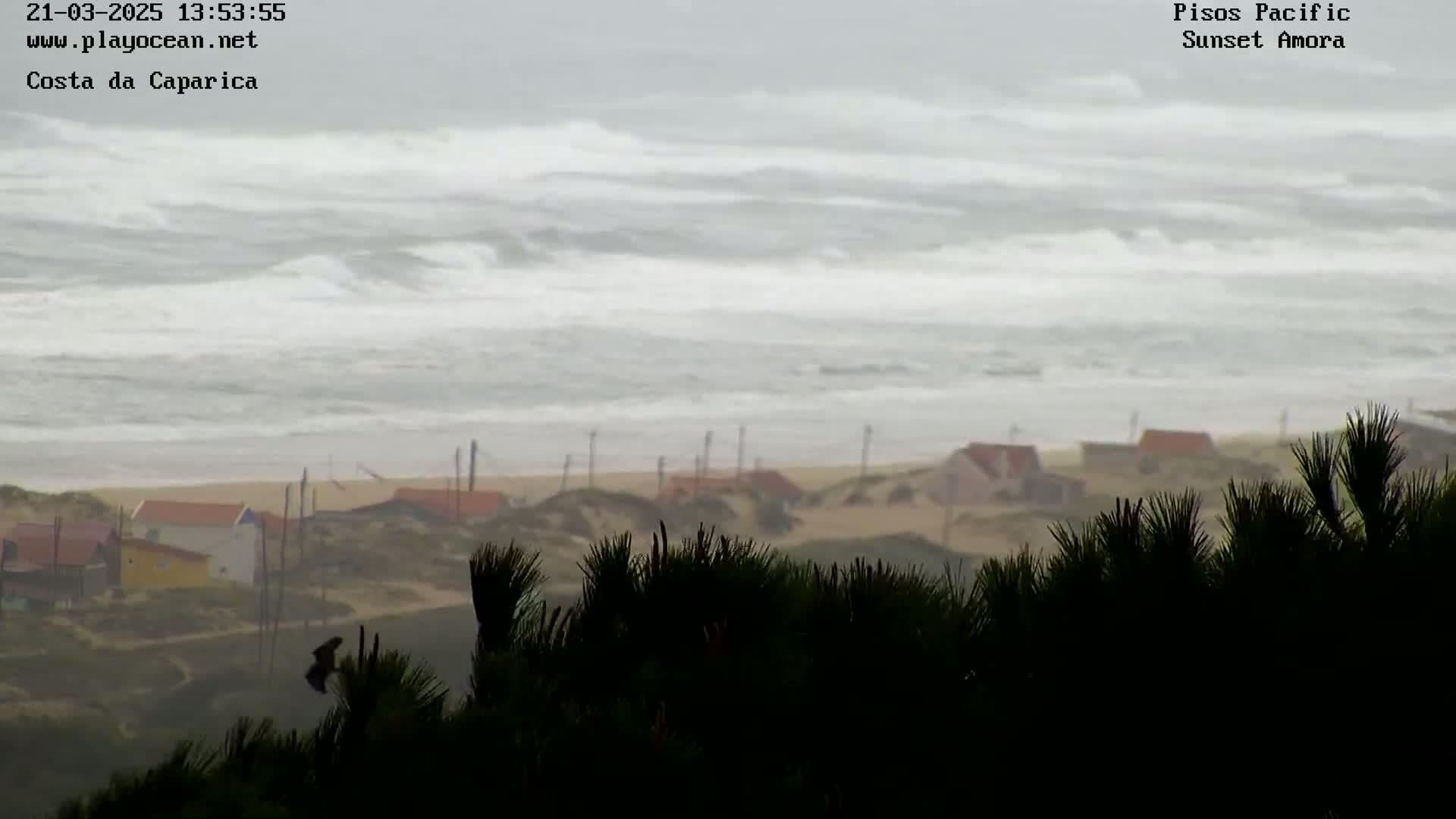 A stormy ocean with choppy waves crashes onto a sandy beach dotted with small houses, partially obscured by dark green shrubbery in the foreground.