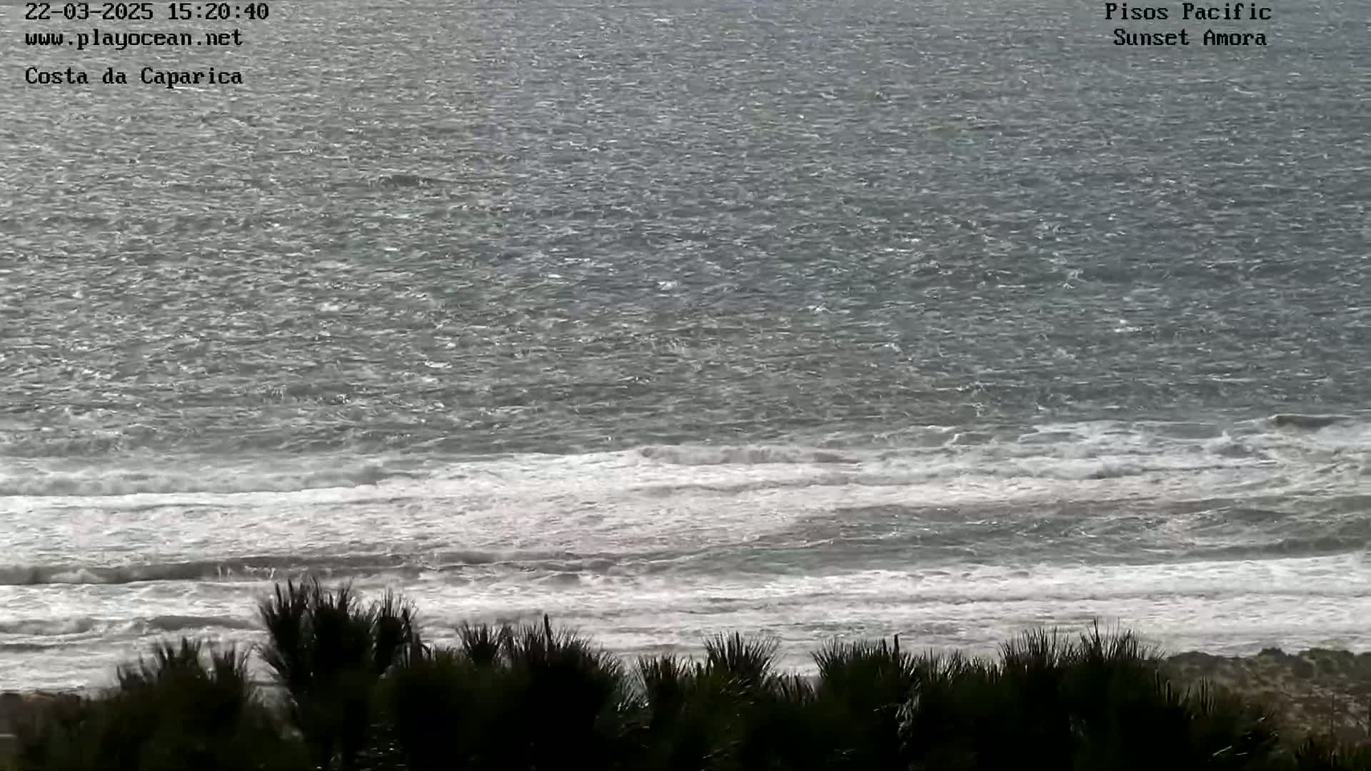 A view from a hilltop shows a choppy, gray ocean with whitecaps crashing on a beach, partially obscured by dark shrubs in the foreground.