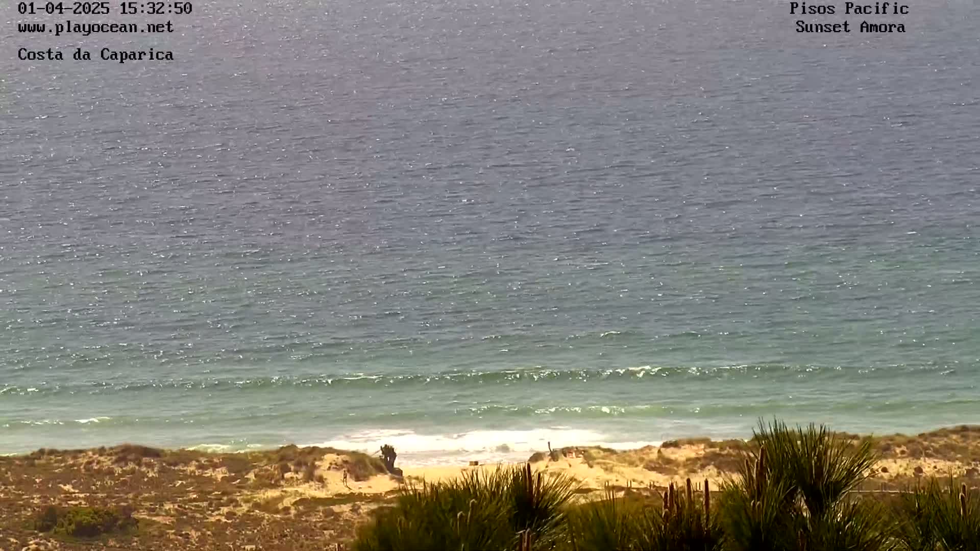 A calm ocean with small waves laps a sandy beach backed by scrubby vegetation.