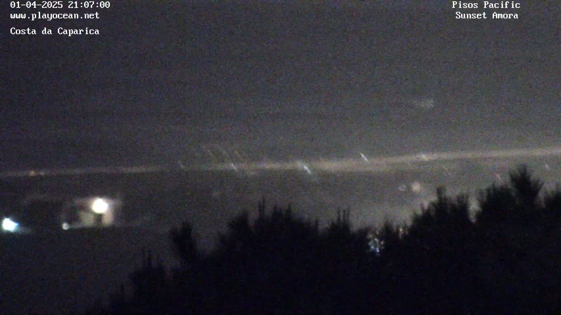 A nighttime, low-light view of a dark horizon line with a faint, blurry light source in the distance, possibly lights on the water, partially obscured by dark trees and vegetation in the foreground.