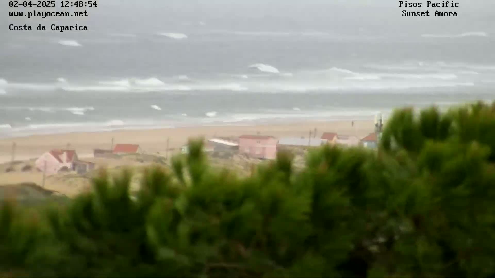 A view from behind shrubbery shows a beach with a few houses, and a stormy ocean with choppy waves.