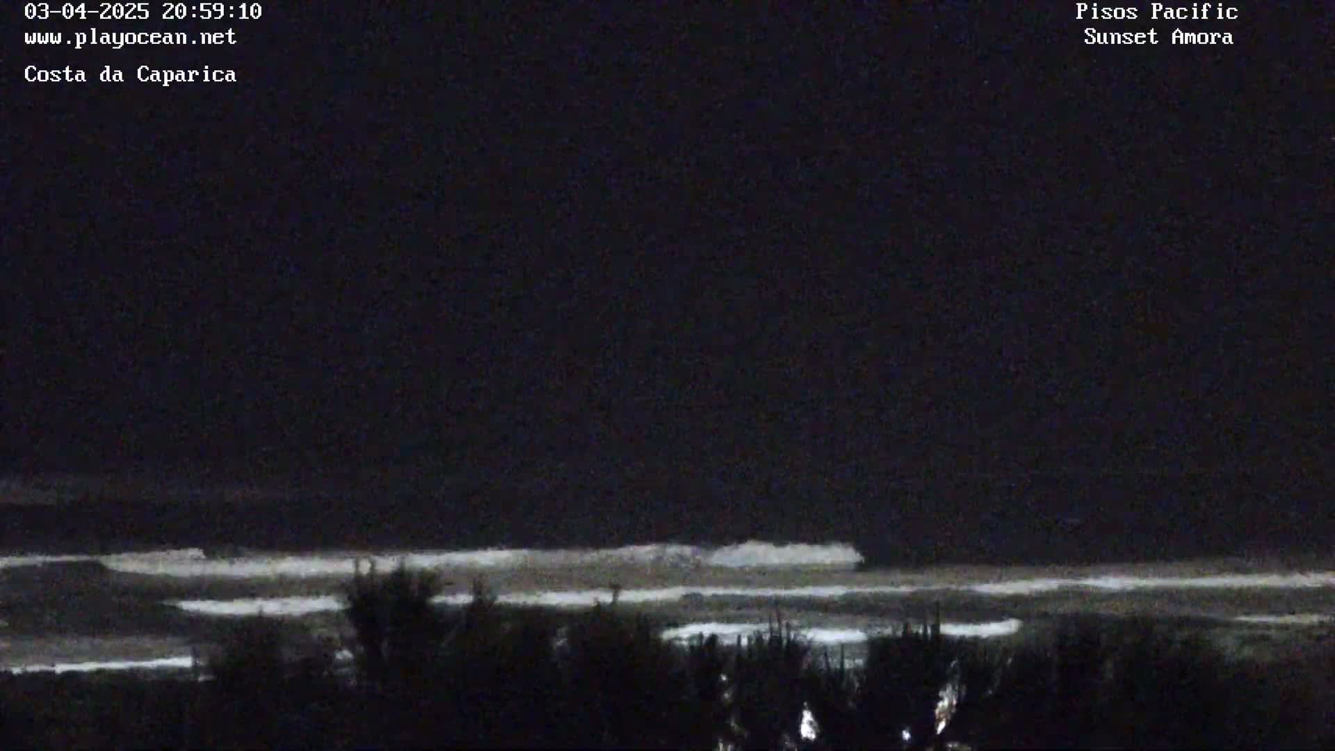 A nighttime view of ocean waves breaking on a shore, with dark vegetation in the foreground.