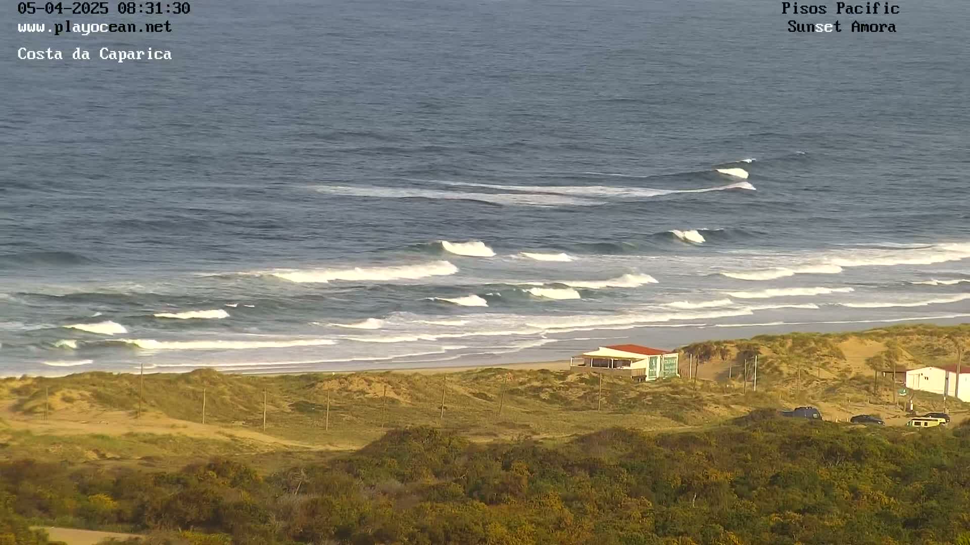 Ocean waves roll onto a sandy beach backed by dunes and low-lying vegetation under a clear sky.
