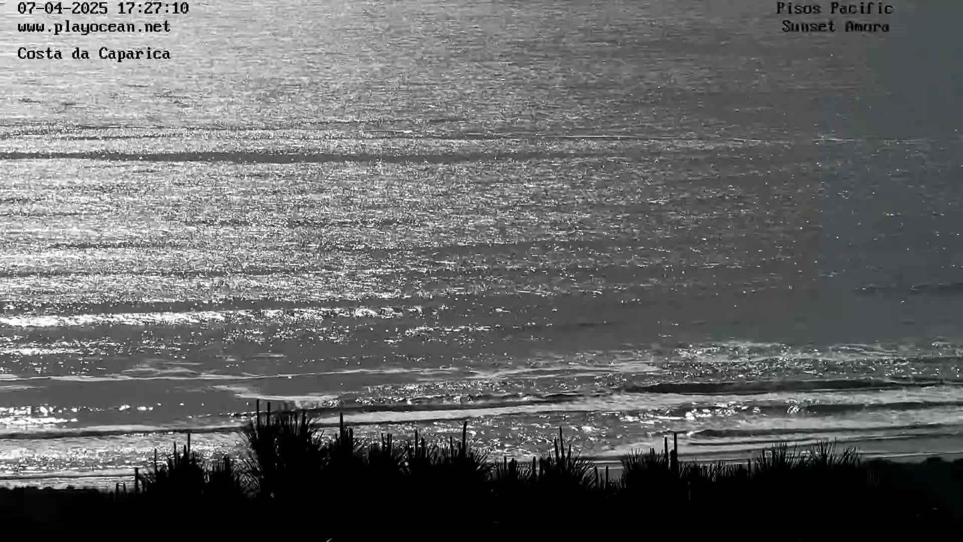 A bright, shimmering ocean with small waves laps a shoreline obscured by dark silhouettes of vegetation.