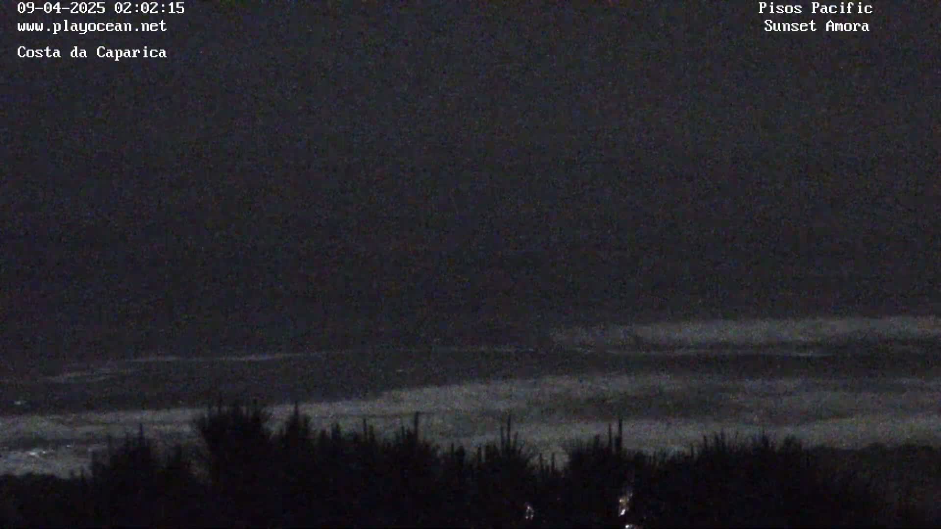 A nighttime view shows dark ocean waves under a mostly clear, dark sky, with silhouetted vegetation in the foreground.