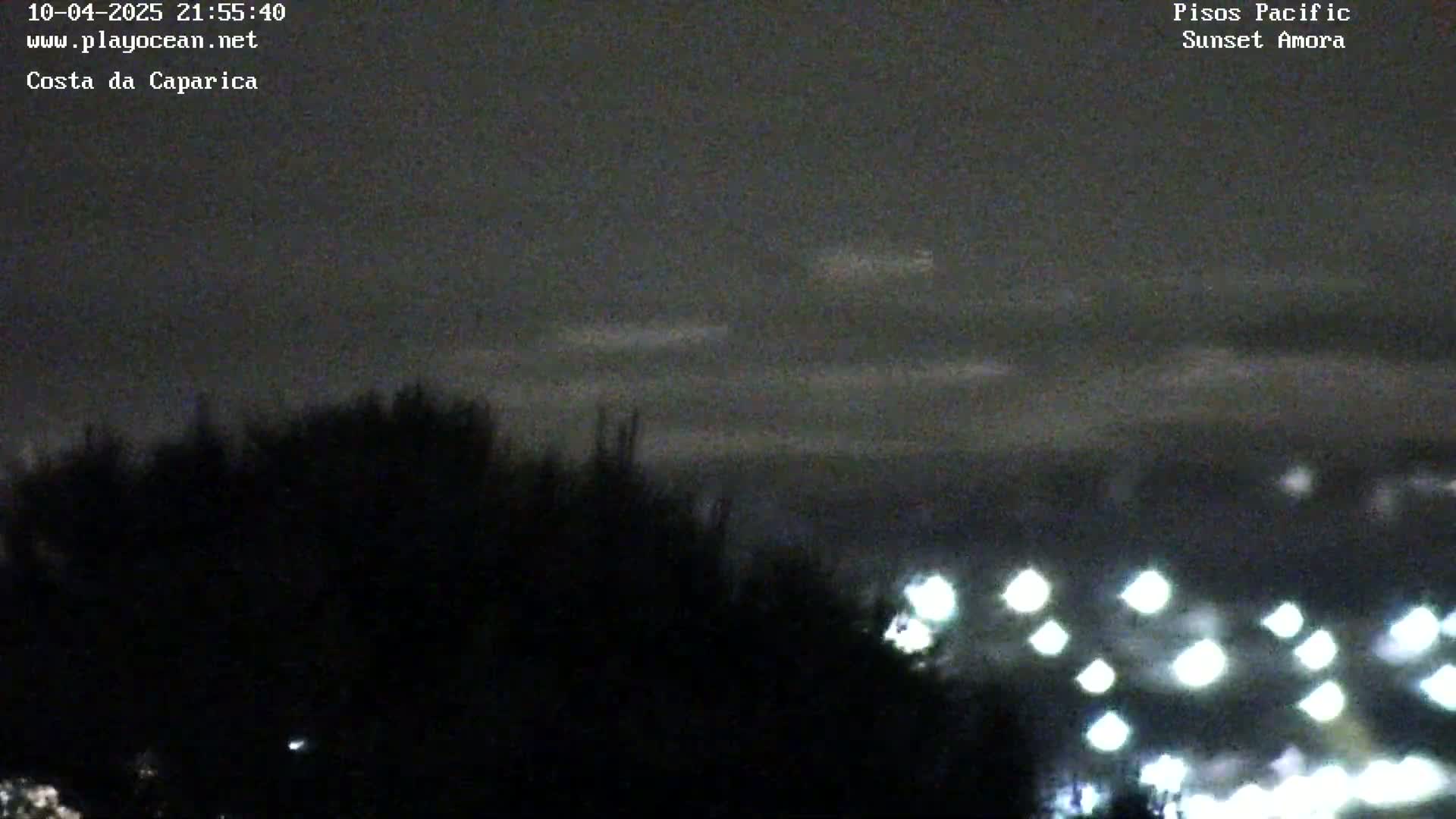 A nighttime view shows dark trees silhouetted against a mostly cloudy sky, with distant lights visible below the horizon.