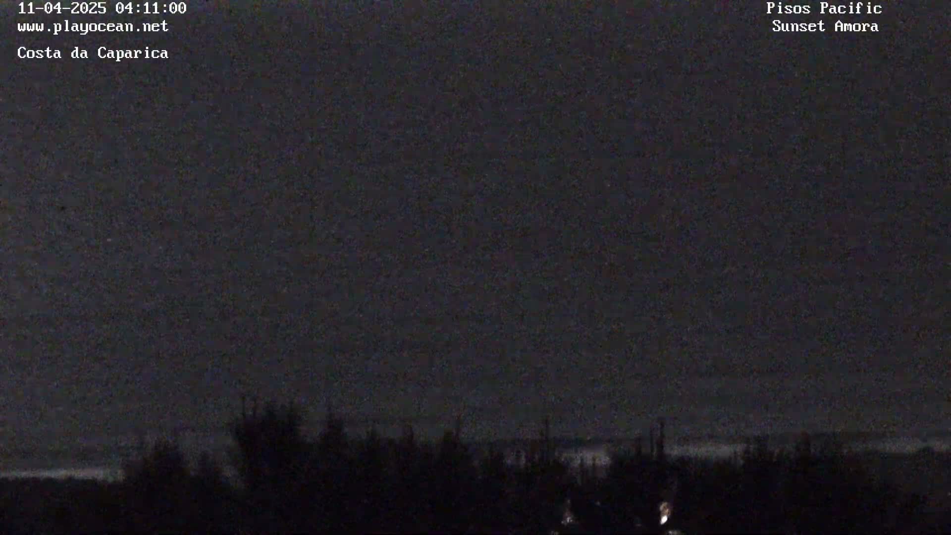 A dark, nighttime view shows a silhouetted line of trees or shrubs against a mostly clear, dark sky.