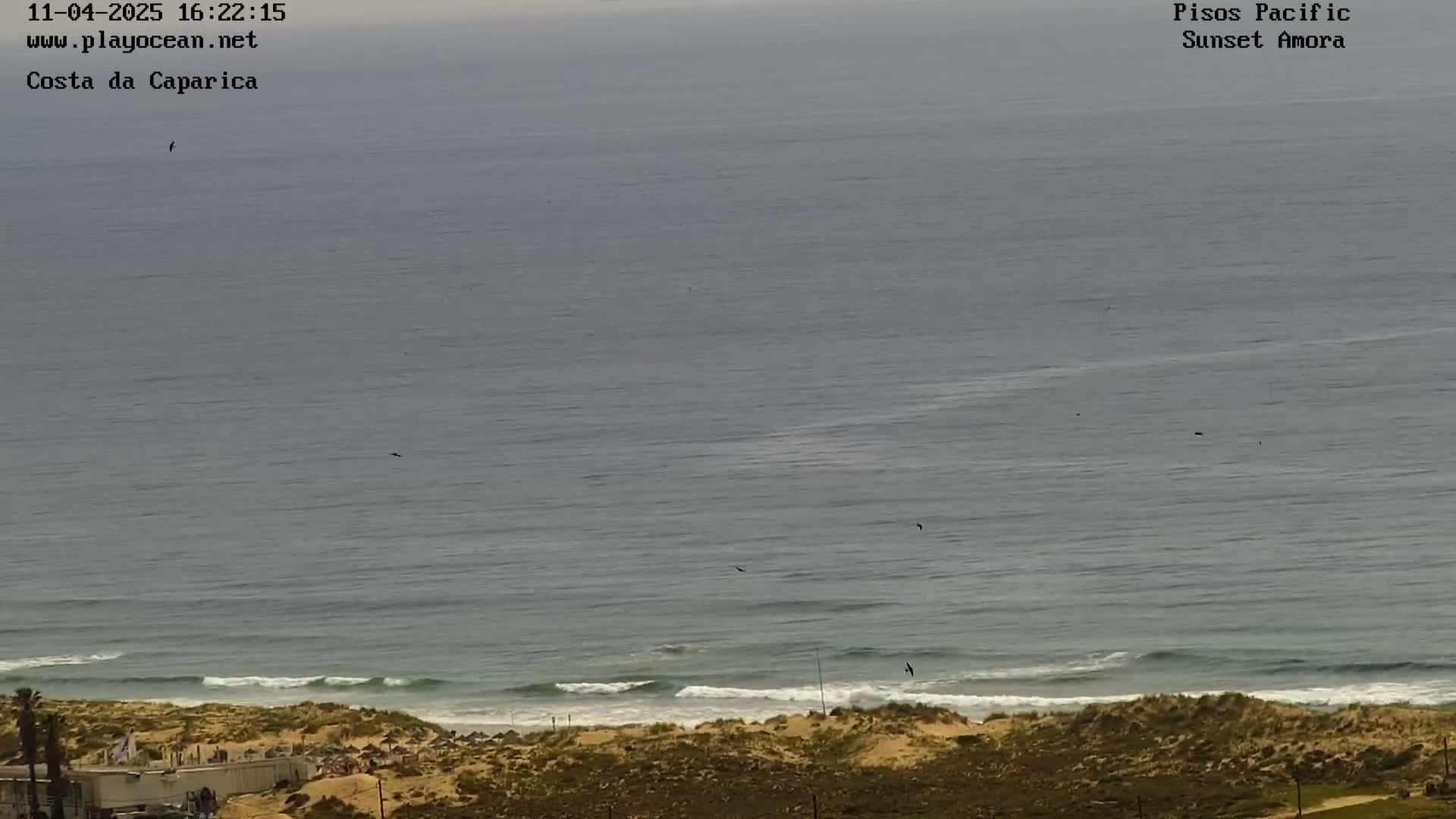 A mostly overcast day shows a wide expanse of ocean with small waves lapping a sandy shore, with a few birds flying overhead.