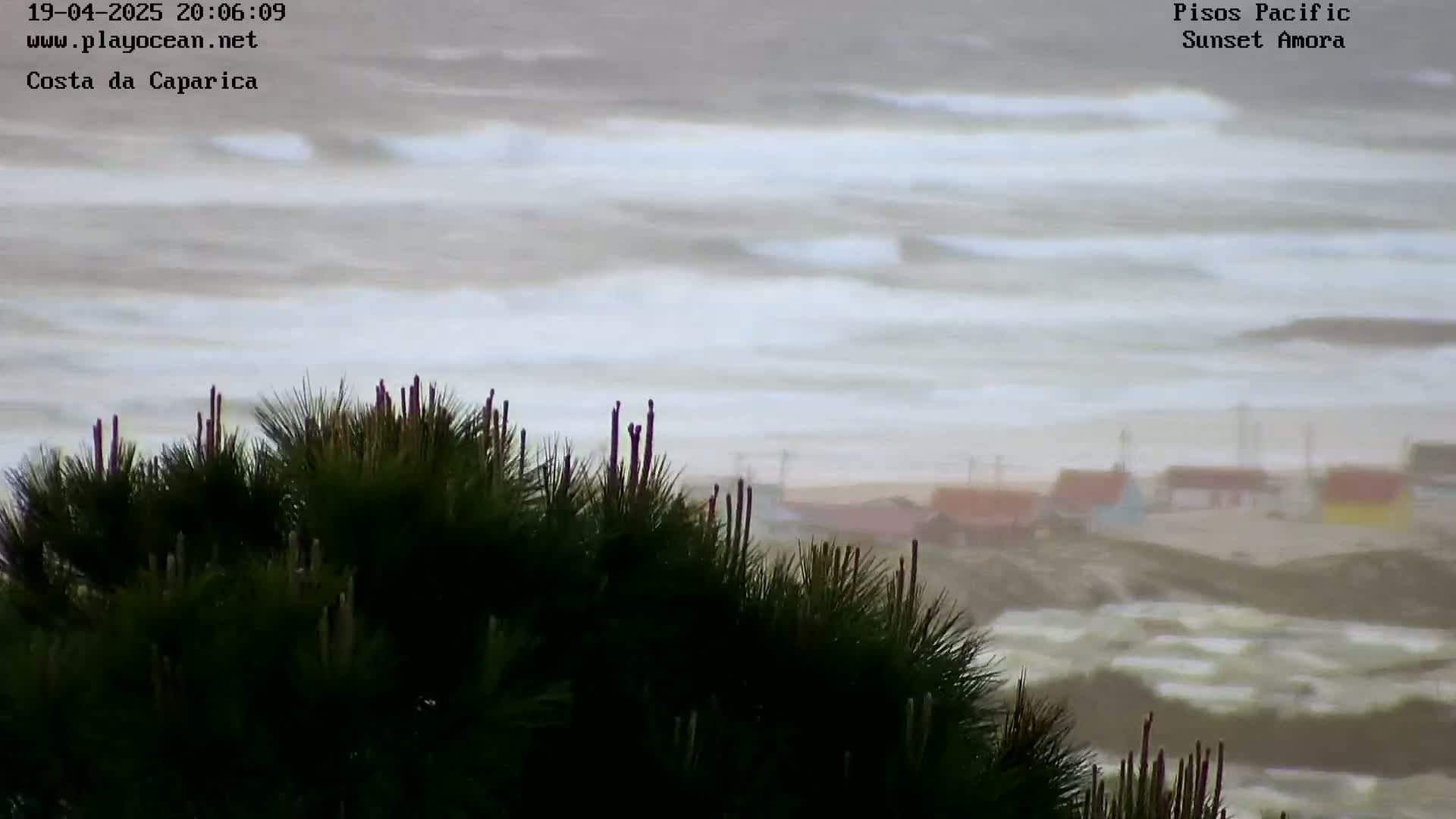 A view from behind pine trees shows a stormy ocean with choppy waves and a distant beach with small buildings.