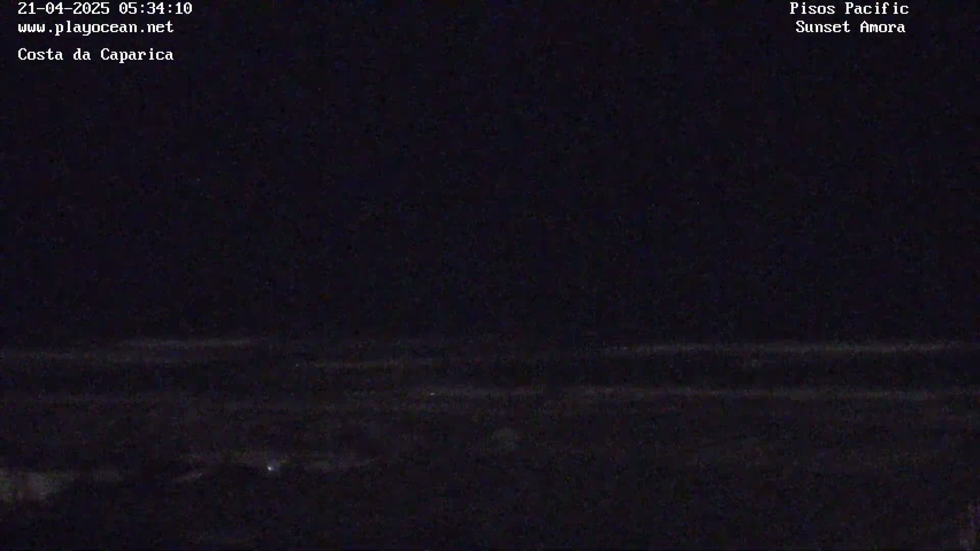 A dark, nighttime view of a beach and ocean, with very little visible light.