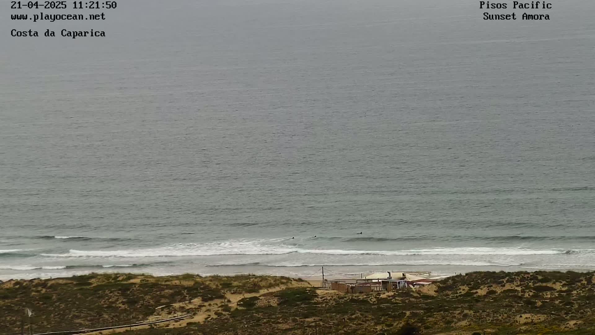 A high-angle view shows a beach with several surfers in the ocean under an overcast sky.