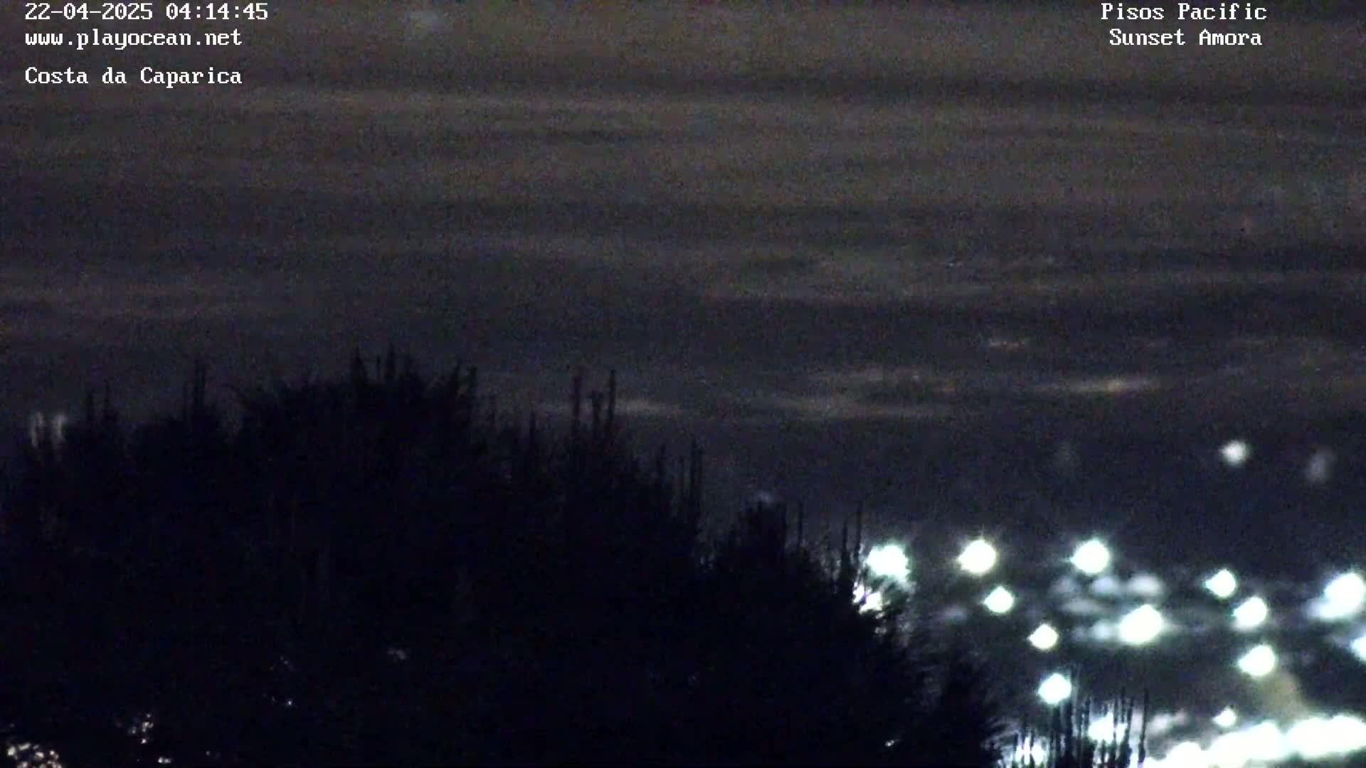 Silhouetted trees obscure a distant, faintly lit cityscape under a dark, cloudy night sky.