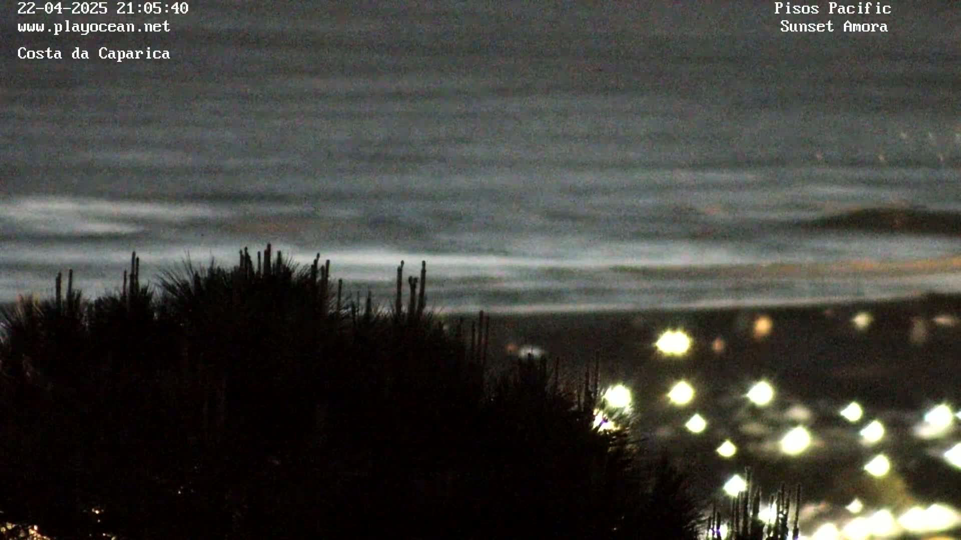 Silhouetted shrubs are in the foreground, with a dark, overcast sky above a faintly visible body of water and a blurred cityscape of lights in the distance.