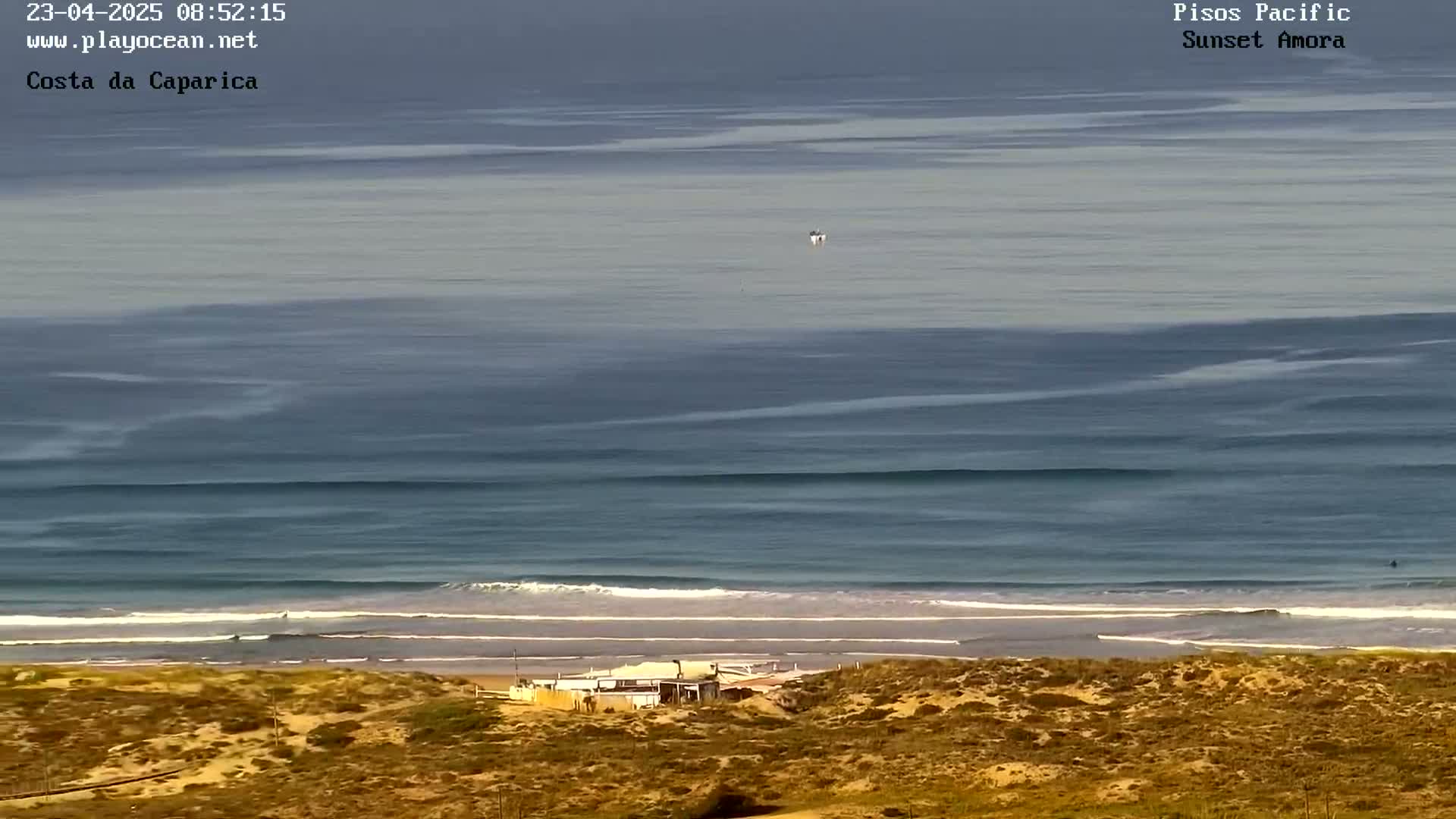 A calm ocean with small waves rolls onto a sandy beach, behind which sits a small building nestled in dry, light brown vegetation.