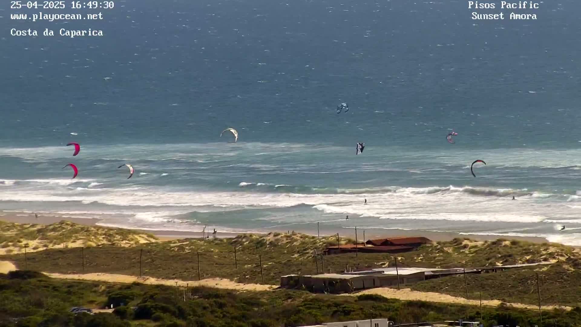 Several kitesurfers are riding waves on a windy, sunny day at a beach with sand dunes and buildings in the distance.